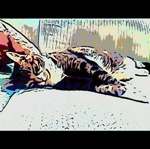 Meet your Posher, Macie